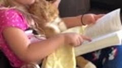 Кототерапия: маленькая девочка читает сказки коту