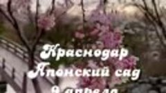 Краснодар, японский сад.