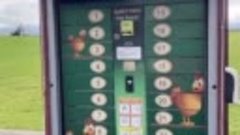 Автомат по продаже яиц в Ирландии