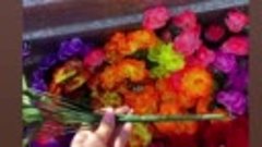 Розы 300 рублей 