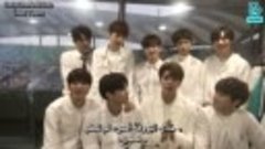 Dream Concert Vlive UNB - arabic sub