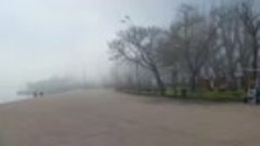 Море в тумане. Феодосия. 150423