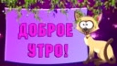 Доброе утро, группа!