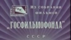 При исполнении служебных обязанностей (1963)