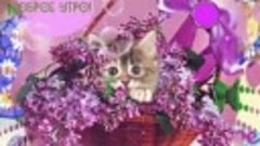 Екатерина757 (@kate77katerina) в TikTok - доброеутро - наилу...