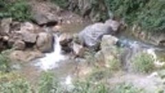 VID_20181017_151037.mp4