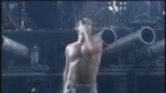 Rammstein - Tier (Till Lindemann)