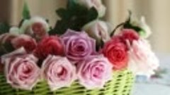Эти прекрасные розы для Вас друзья!