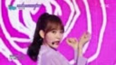 20181117 SHOW! Music Core #610 쇼 음악중심 | 아이즈원 IZ*ONE