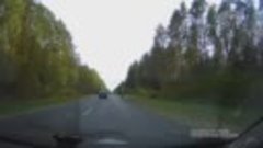 Выксавкурсе.рф: дурак на дороге