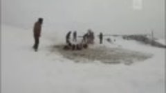Люди спасли лошадей, провалившихся под лед