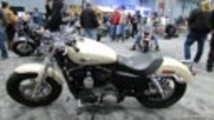 2014 Harley-Davidson Sportster 1200 Custom (XL1200C) Walkaro...