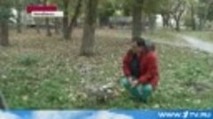 В Челябинске любовь и забота спасли жизнь раненому лебедю