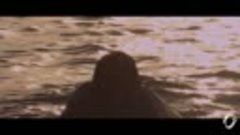 ♚WSELENAIA♚Stive Morgan - Aphrodite (Remix 2017) Video Edit