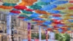 Зонтики в Петербурге с Ларуссия
