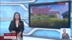 У Казахстана появились 30 образов своих мультипликационных г...