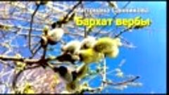 Бархат вербы Антонина Санникова / Юлия Корнеева