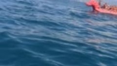 Морская прогулка на банане к дельфинам, август 2022