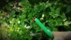 Тапенер - степлер для подвязки растений и винограда