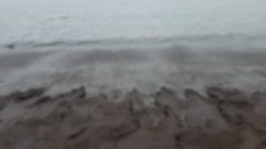 Море в Ванино