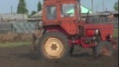 Как проборонить картофель огород на тракторе Т-25 с боронами