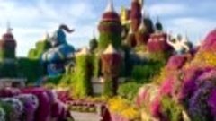 Сад цветов Miracle Garden. Дубай, ОАЭ.