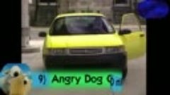 blaffende hond in auto
