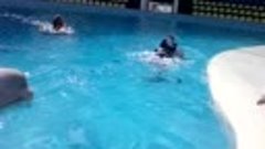 Эвелина плавает с дельфином Зойкой