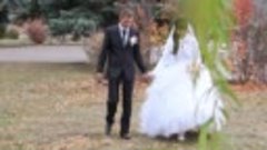 18 10 2014  свадьба город Пугачёв