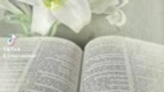 Что необходимо иметь для изучения Библии 
