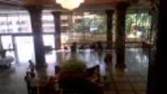 Кормоцех отеля Амбассадор.