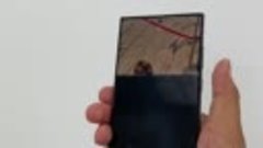 Замена экрана Samsung S23 ultra в Ремзоне

#ремонттелефонов ...