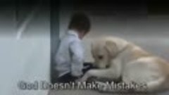 Пес и малыш с синдромом Дауна