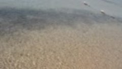 Пляж Олд Паласе