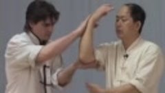 Tai Chi Chin Na (YMAA Qin Na) Dr. Yang, Jwing-Ming - Taijiqu...