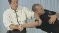 Martial Arts Techniques