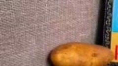 24 июня- картофельный спас