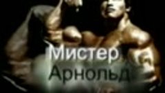 мистер арнольд