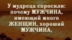 У одного мудреца спросили: