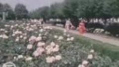 Видео от СТАВРОПОЛЬ. Старый город (1977 год)