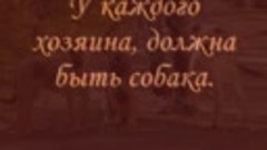 Каждая собака мечтает о хозяине...Группа &quot;Дари добро&quot;. Помощ...