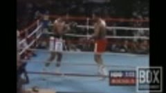 Muhammad Ali vs George Foreman - &#39;The Rumble in the Jungle&#39; ...