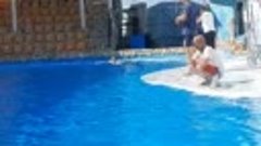 Полина плавает с дельфином