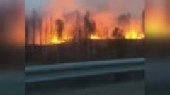 Лесные пожары. Зиминский район Иркутской области (08.05.2019...