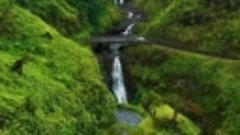 Живописная дорога 🌿 

Остров Мауи, Гавайи, США 🇺🇸

Мир во...