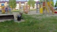 Помойка на детской площадке на ул.Менделеева 41,43 Югорск 4а...
