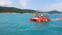 Невероятная встреча с дельфинами у берега Архипо-Осиповки. Д...