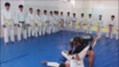 KARATE SHOTOKAN  Official HD Video 2014