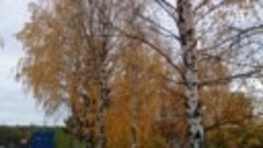Листопад в Вытегре на Покров.14 октября