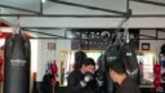 тренировка на водоналивном мешке Everlast Hydrostrike